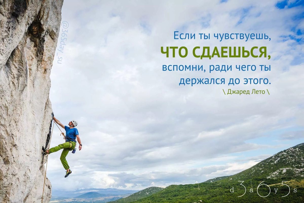 Мотивация цитаты