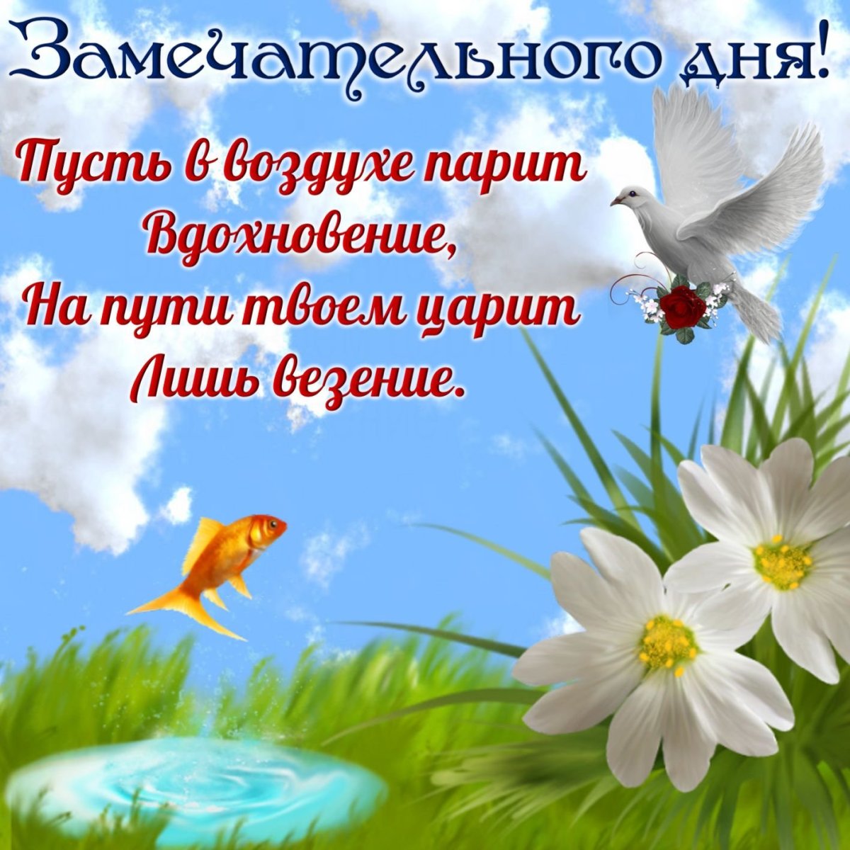 Пожелания доброго дня