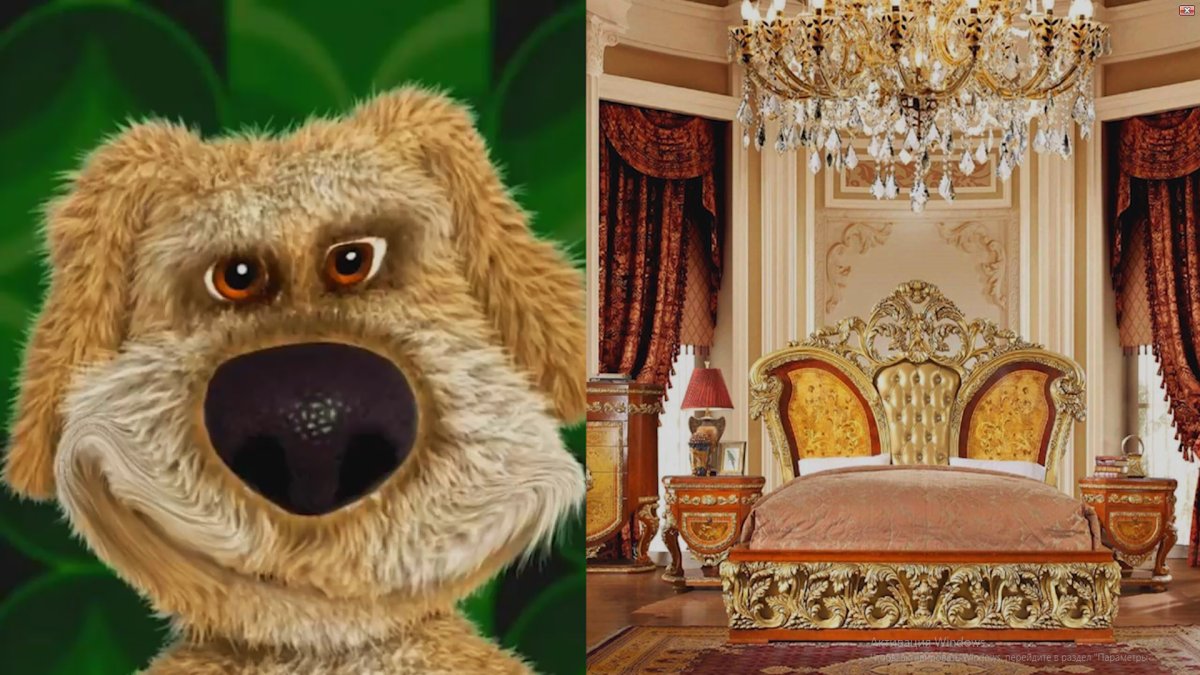 Мой говорящий Бен