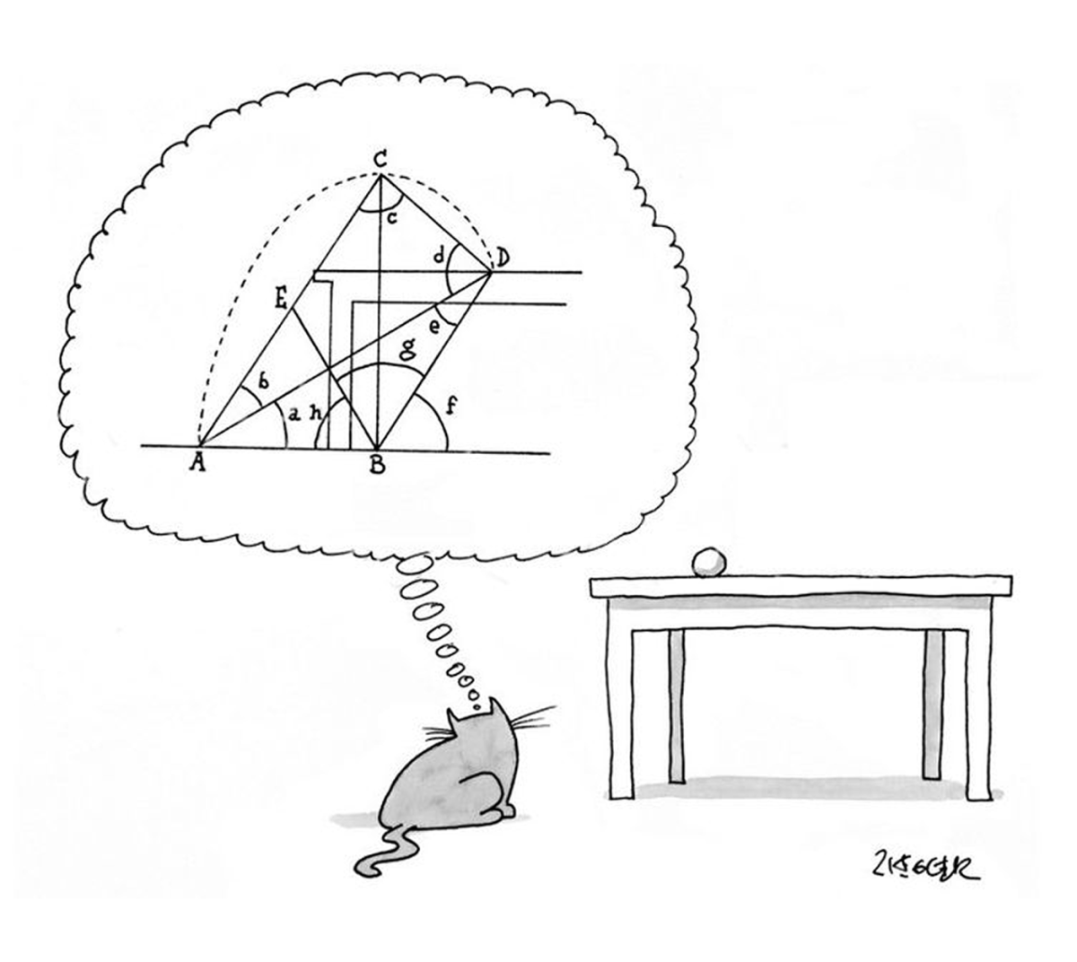 Почему кошка прыгает не сразу