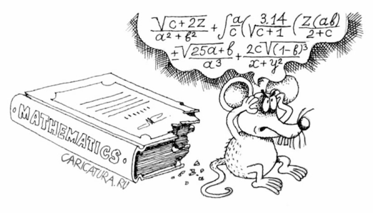 Математик карикатура