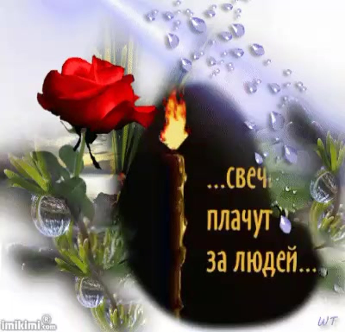 Помним любим кортавим,