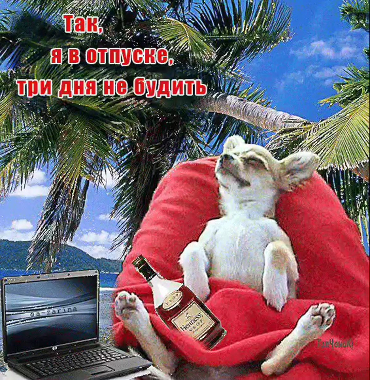 Открытки с отпуском