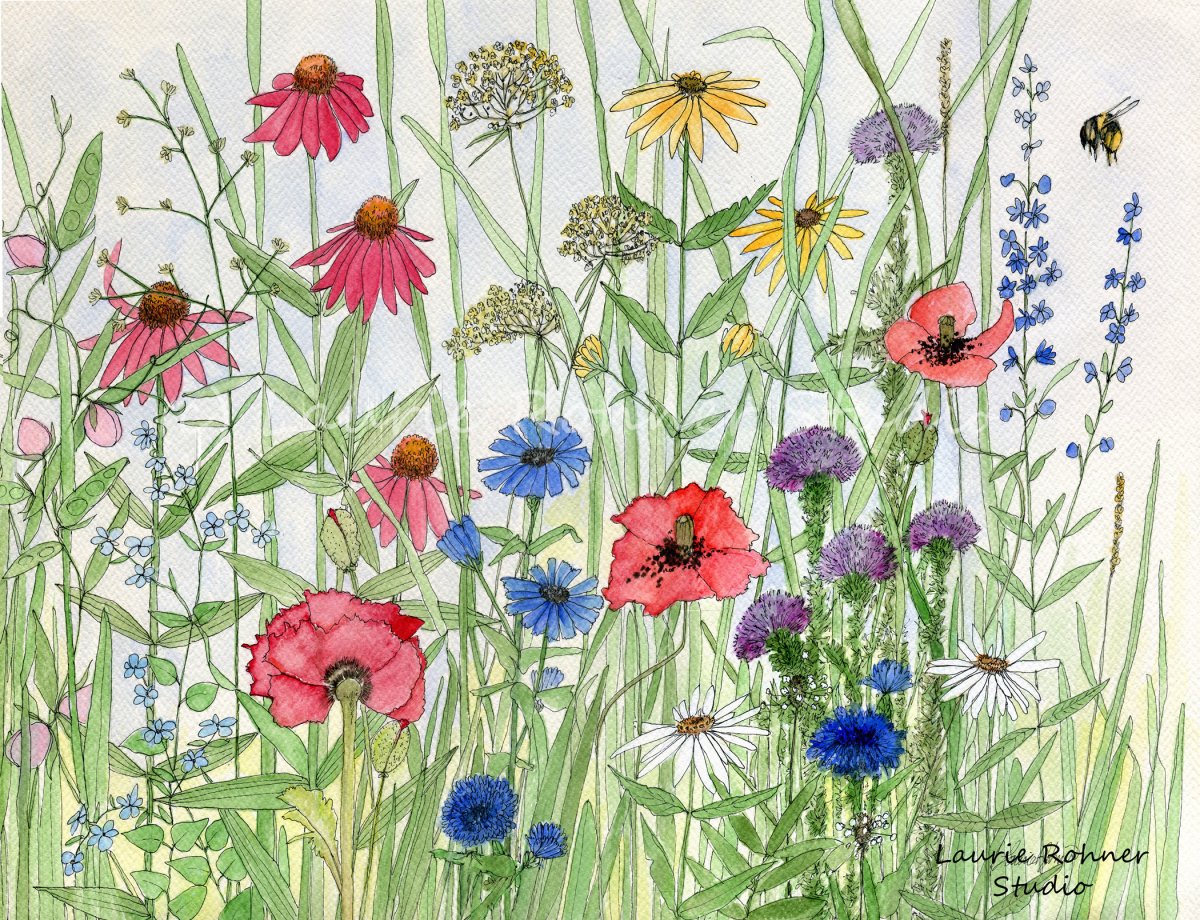 Цветы акварелью маленькие полевые