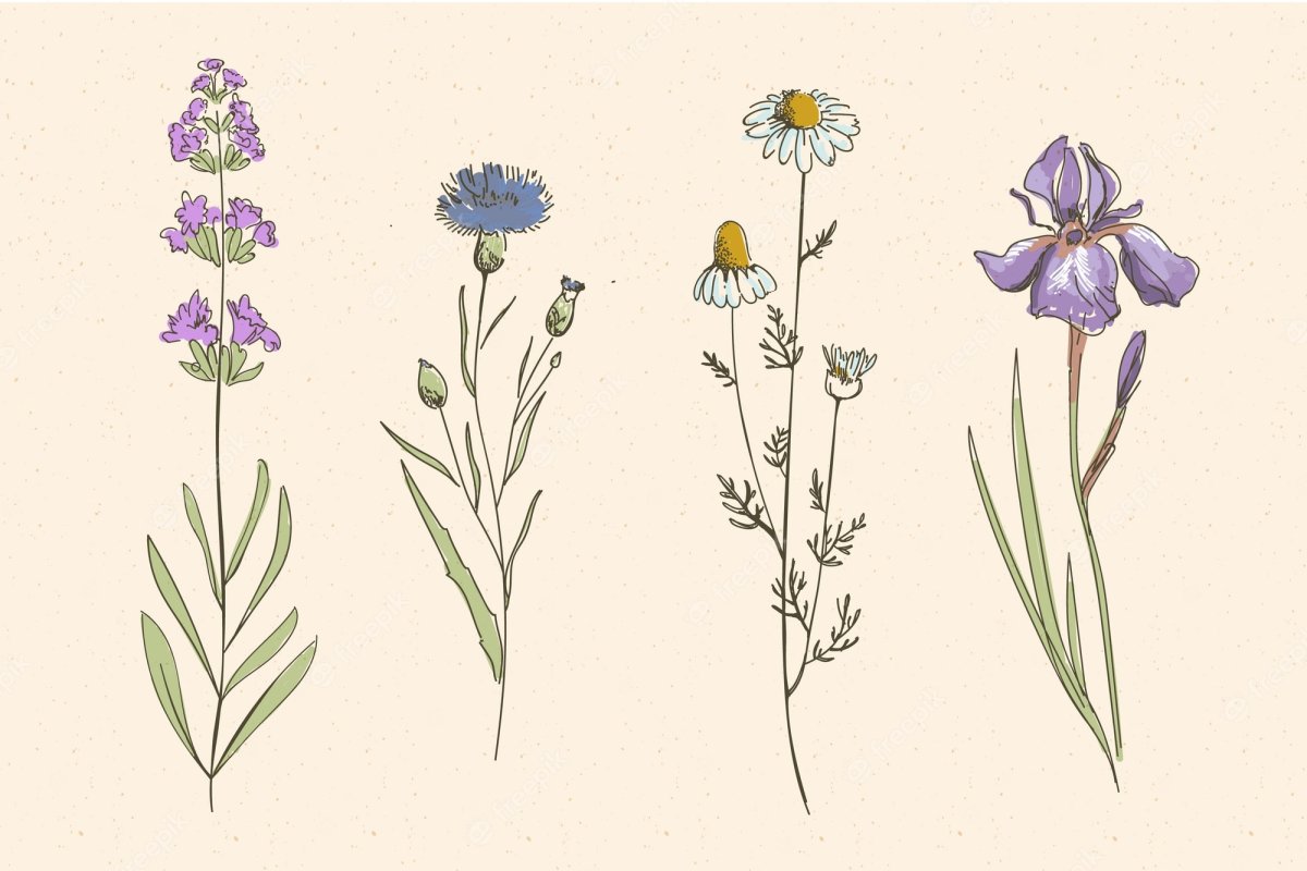 Мальчик с полевыми цветами