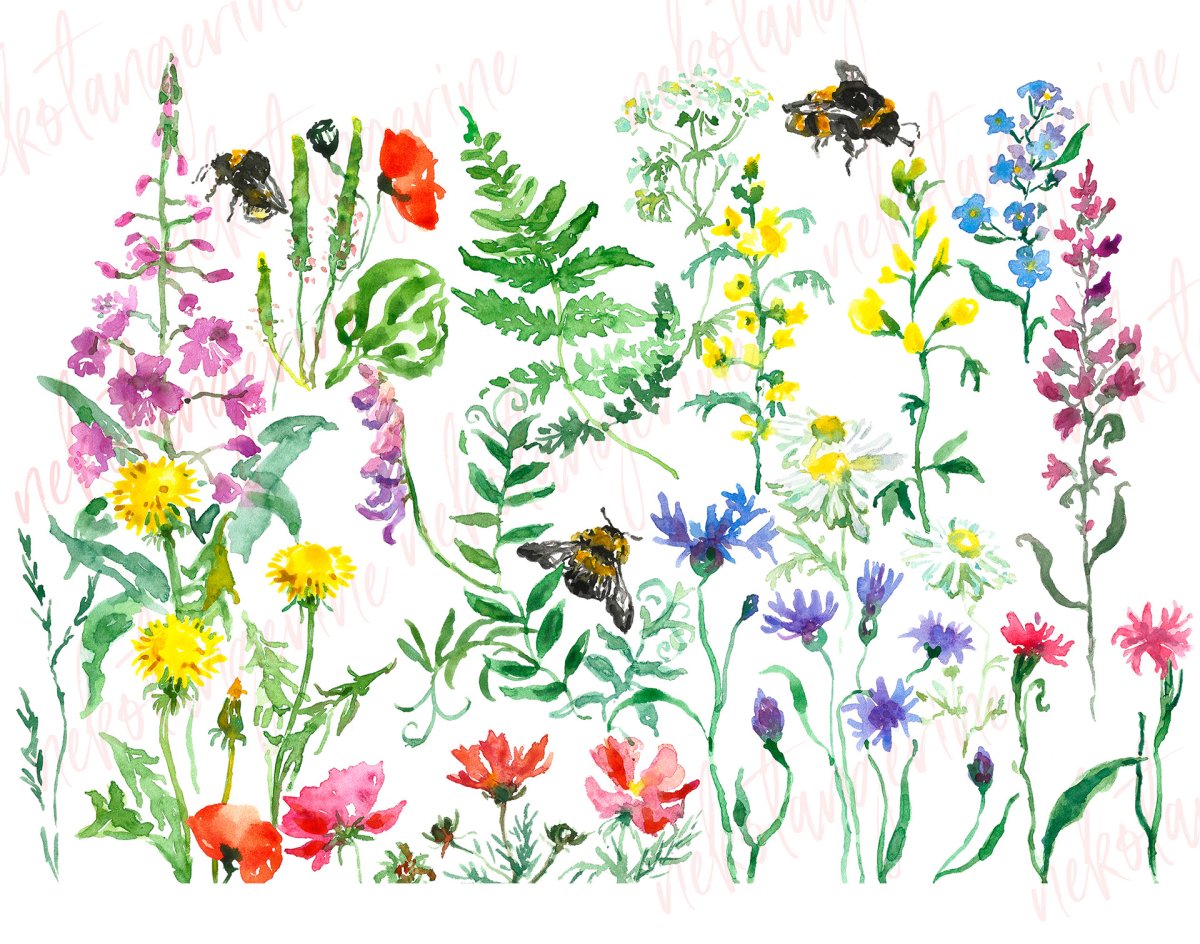 Цветы бежевые вектор полевые