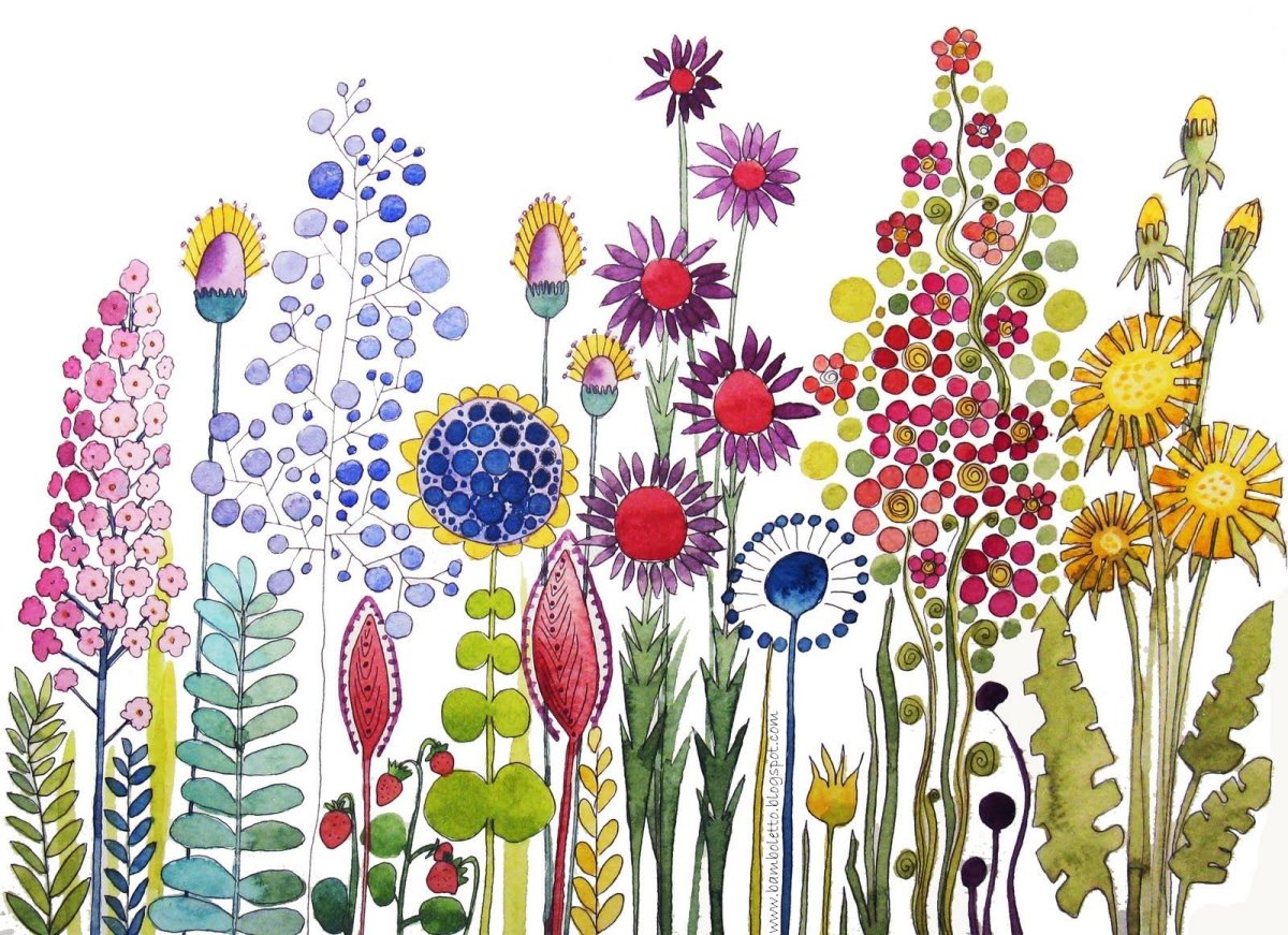 Россыпь полевых цветов рисунок
