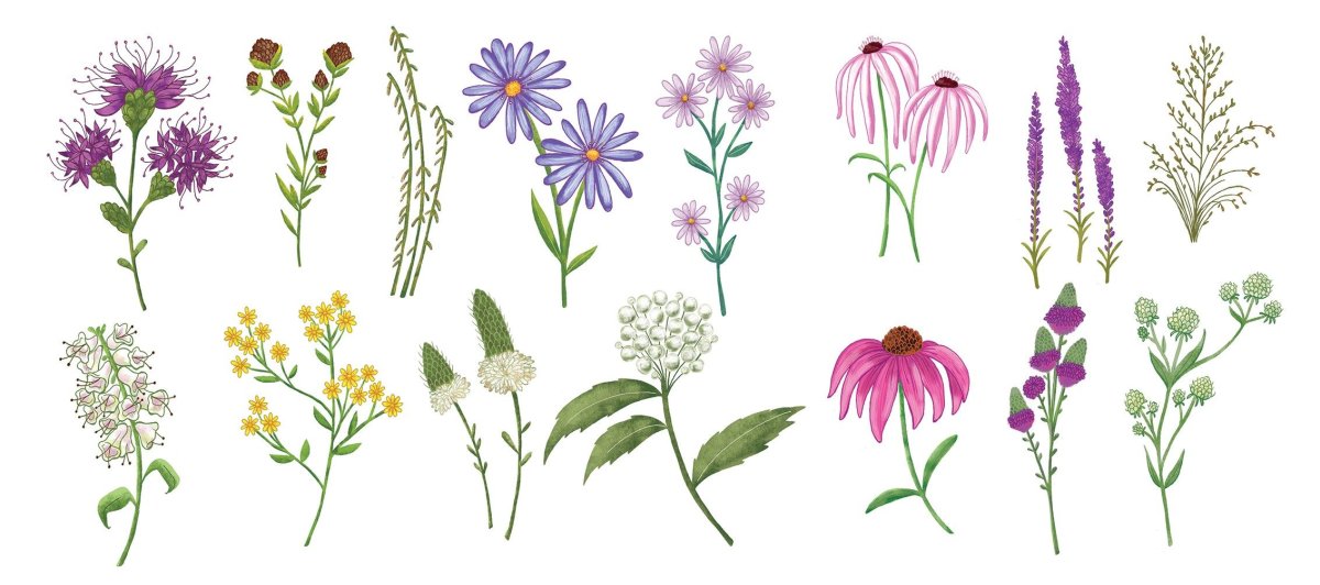 Эстетика пастель цветы