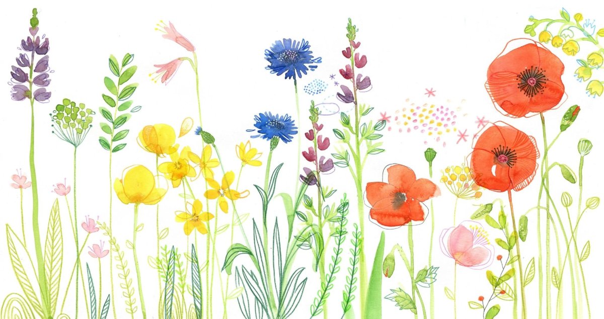 Полевые цветы в круге Графика