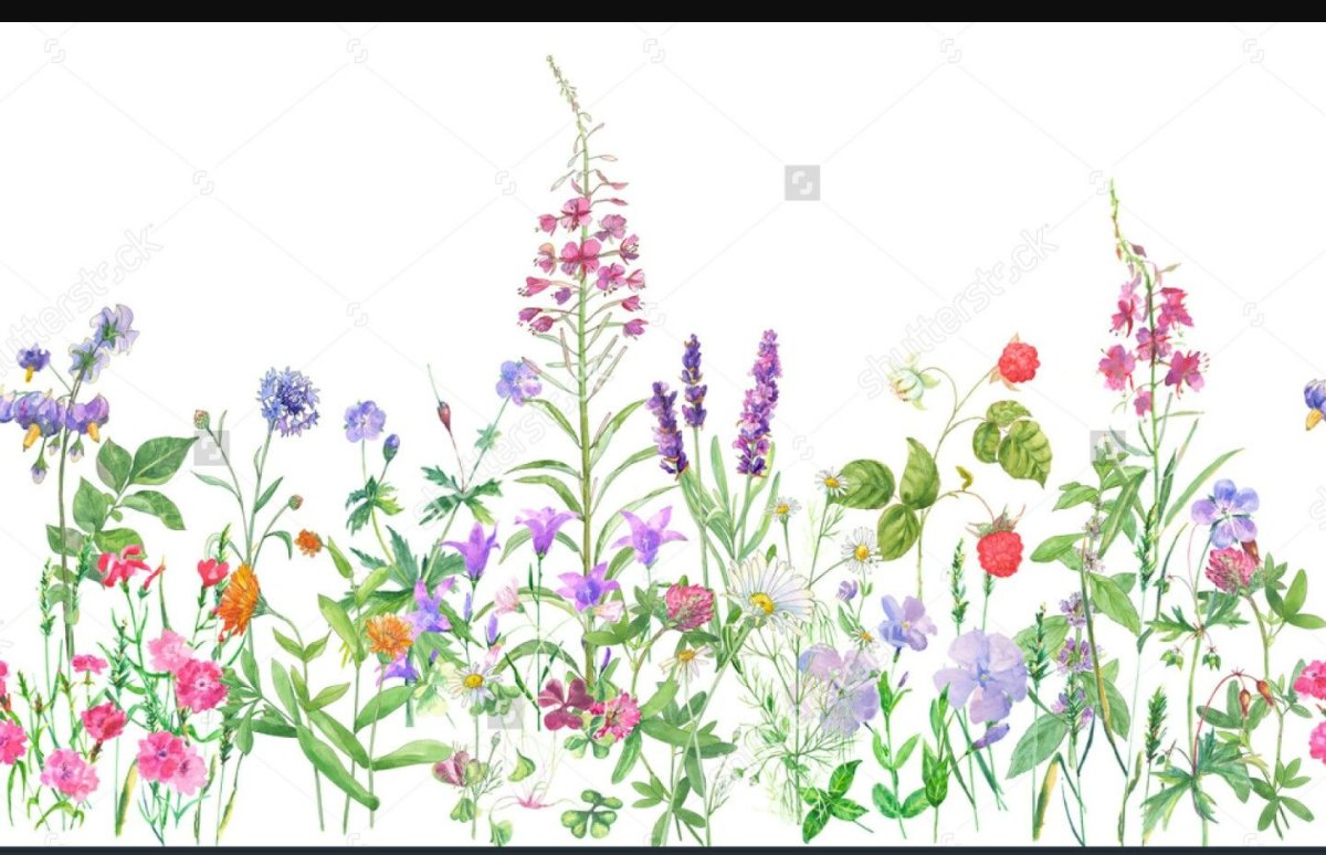 Стилизованные полевые цветы