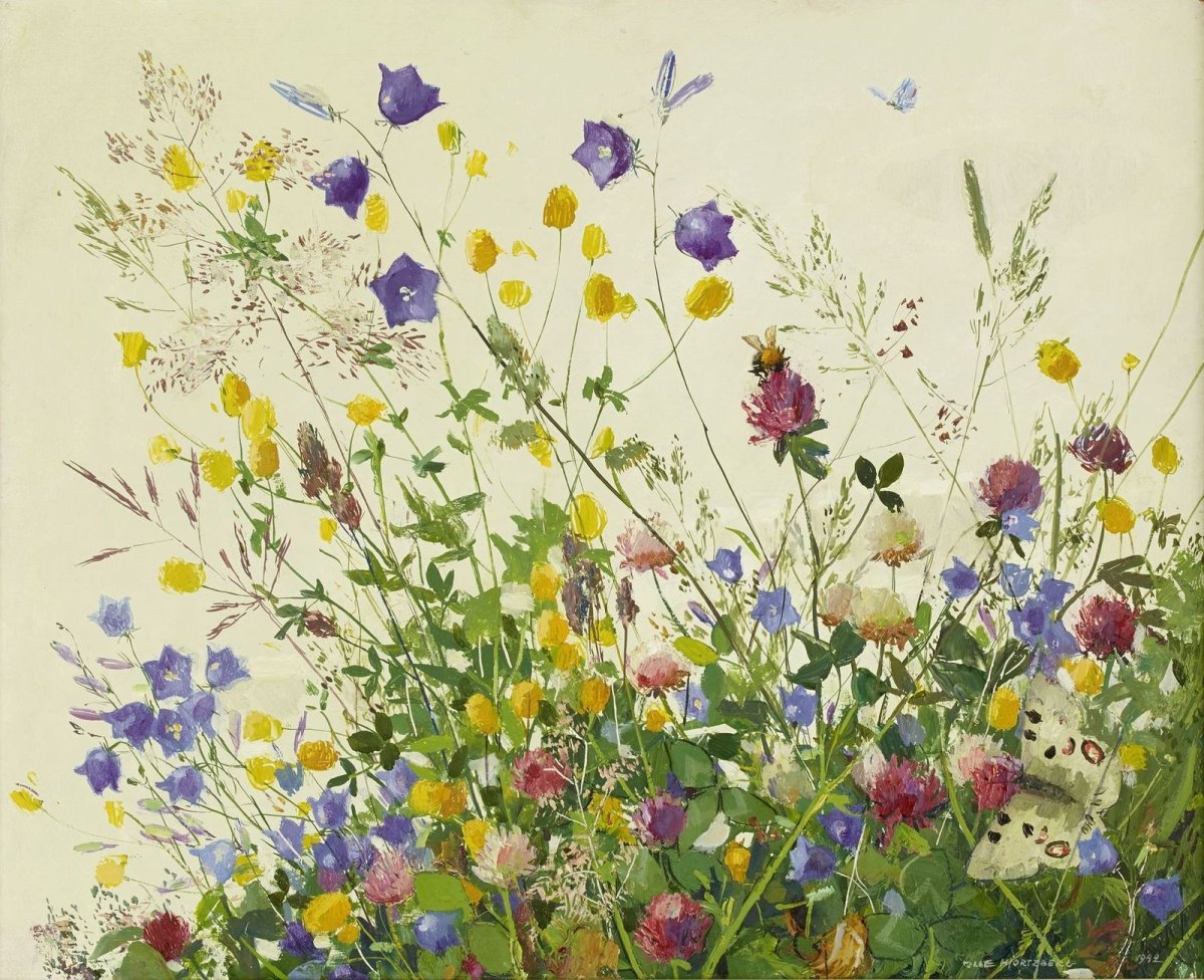 Полевые цветы