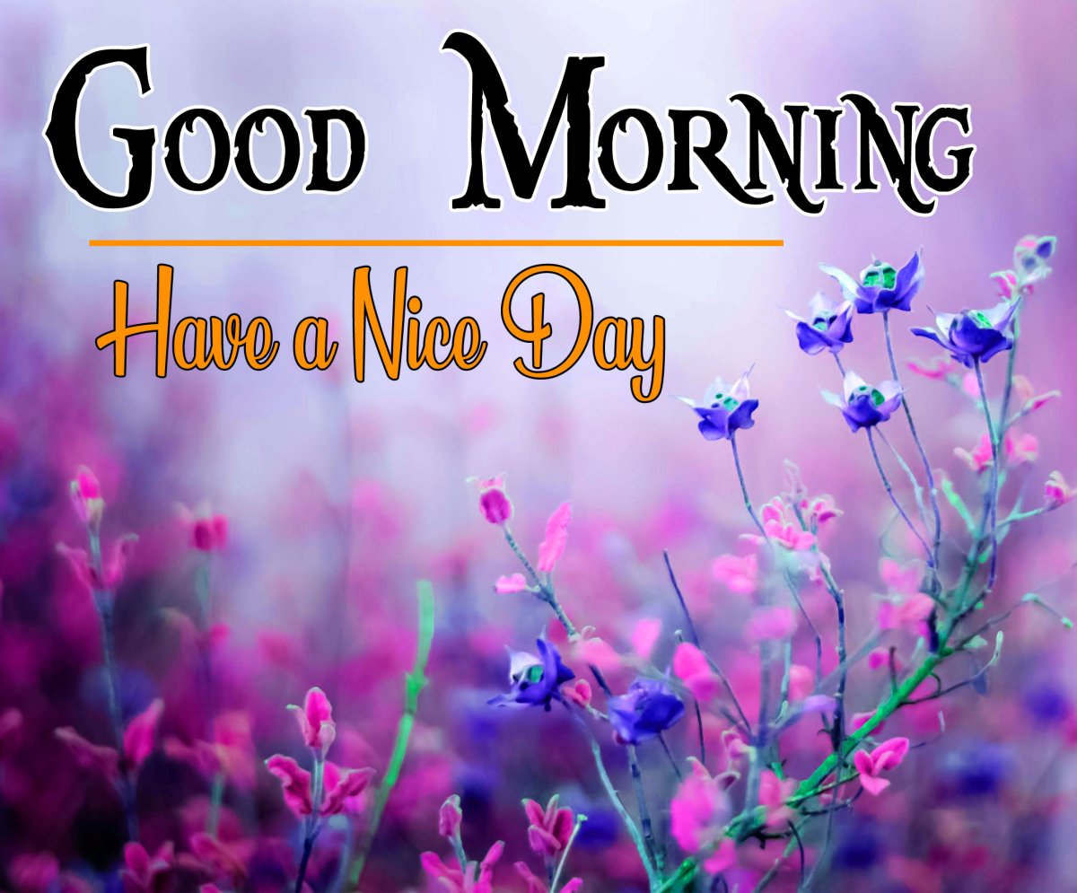 Good morning картинки