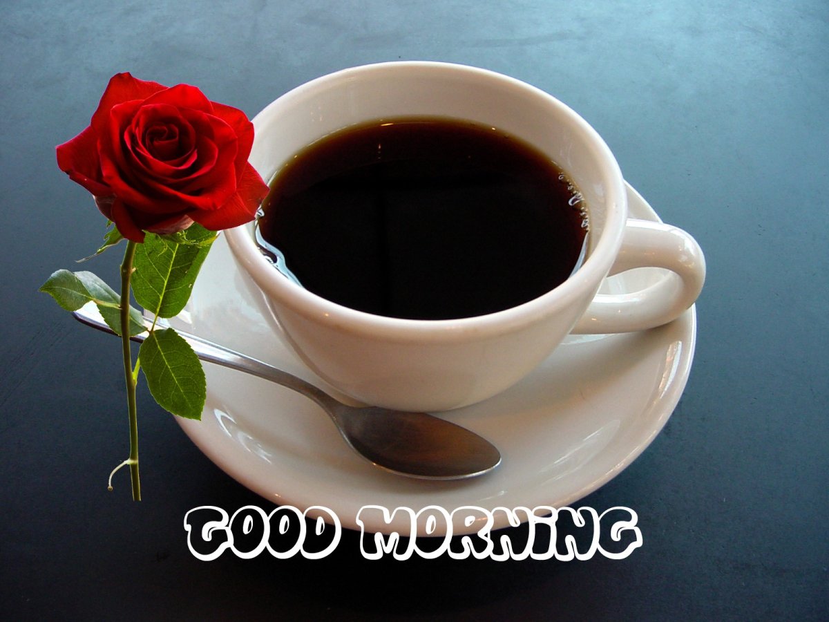 С добрым утром