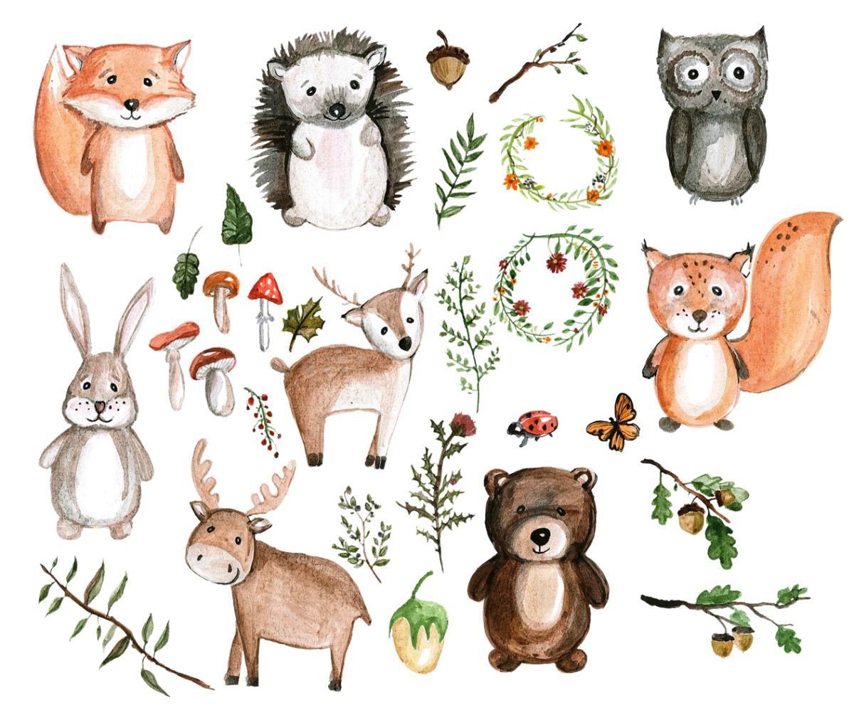 Лесные животные. Лесные жители рисунок. Иллюстрации животных для детей. Лесные животные рисунки.