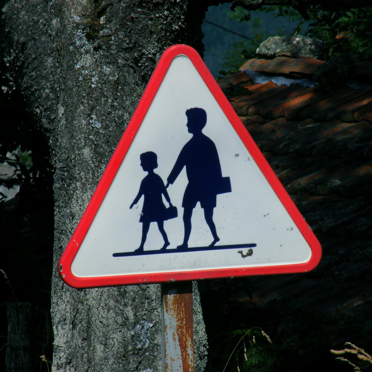 Дорожные знаки прикольные детские