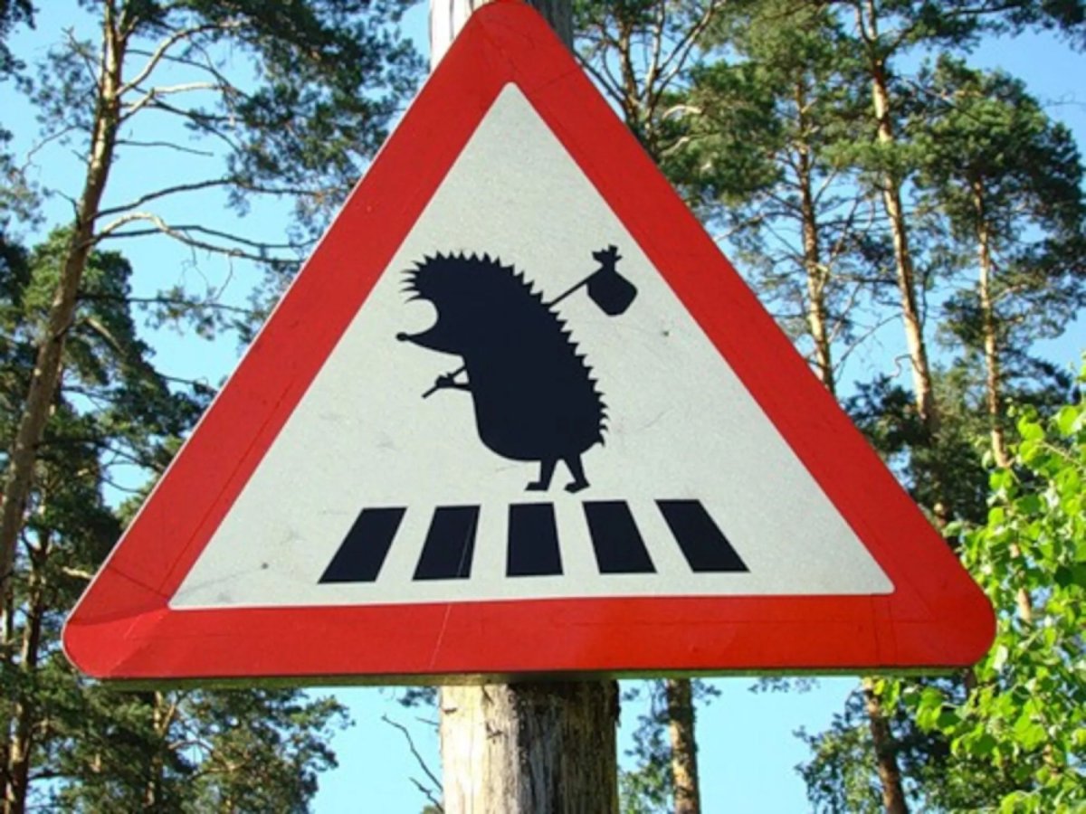 Смешные дорожные знаки