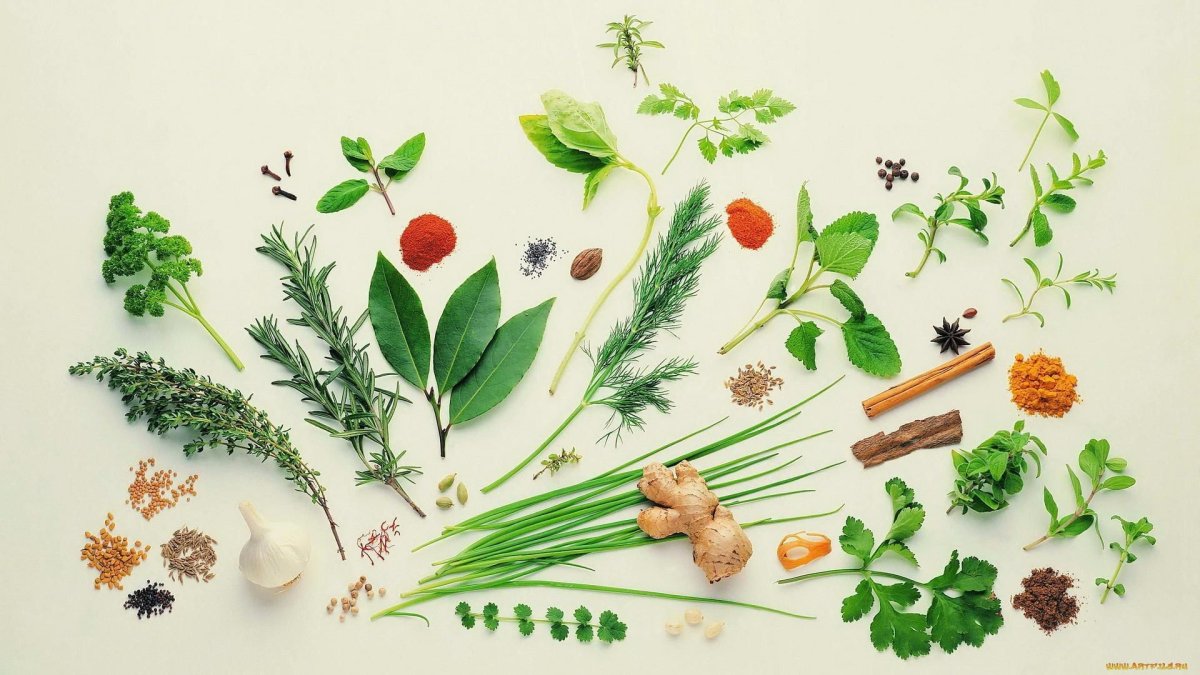 Целебные травы