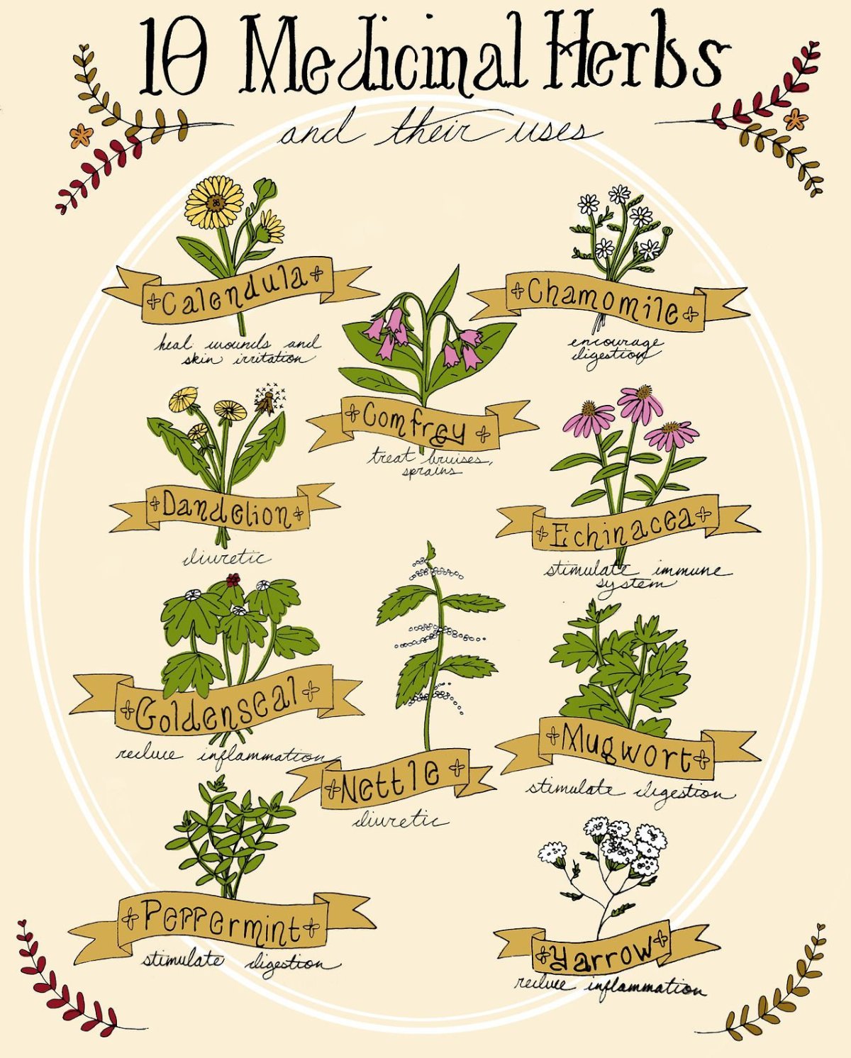 Types of Herbs