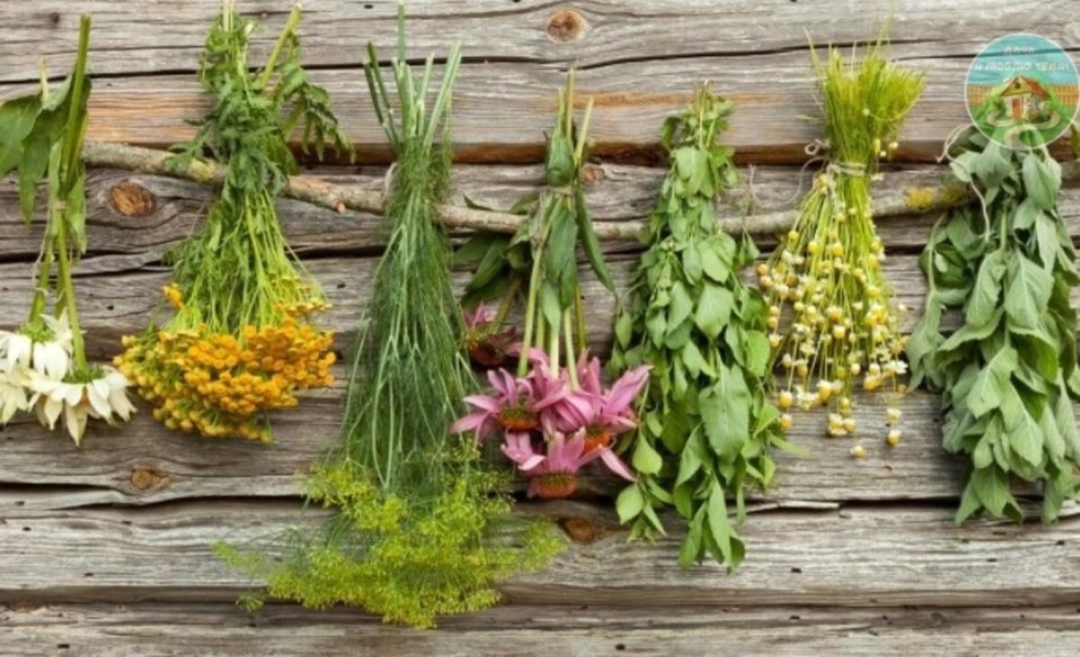 Пучок травы