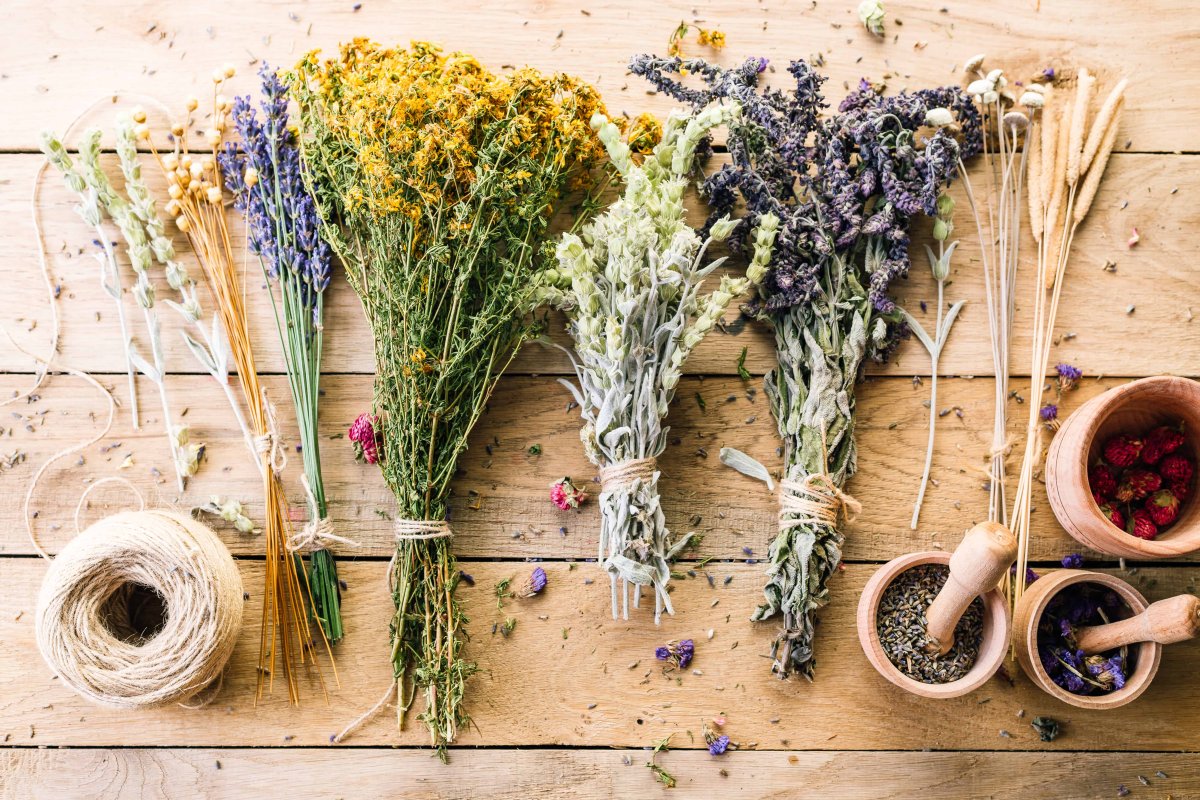 Лаванда ЛРС