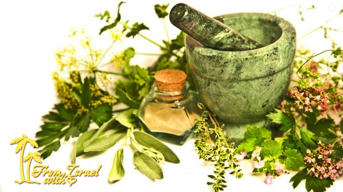 Народная медицина травы