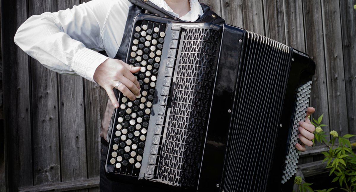 Играет на баяне