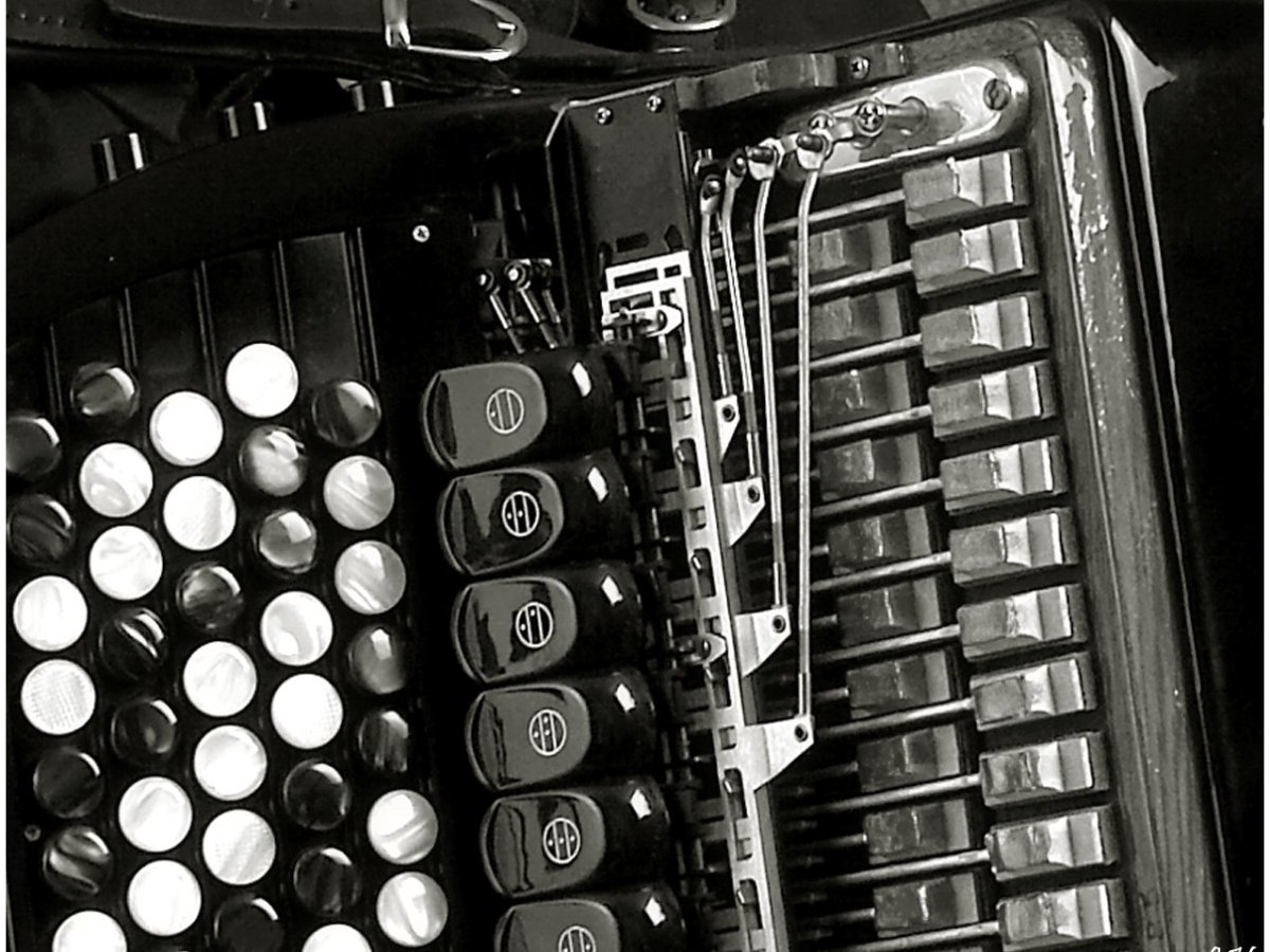 Кнопки баяна