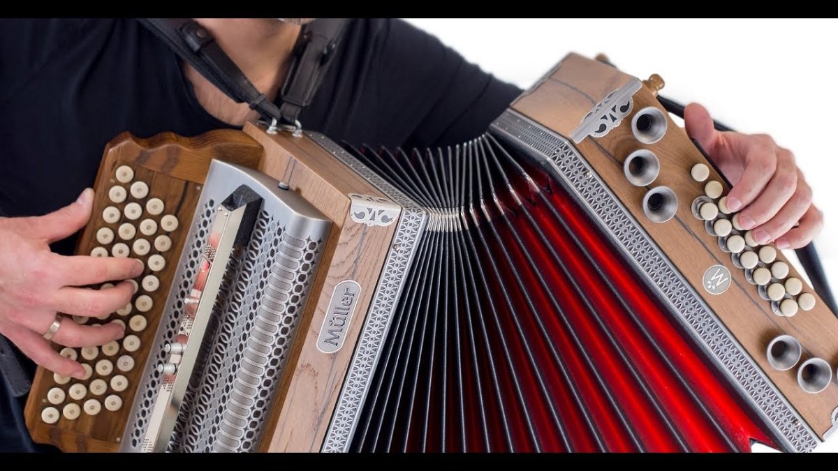 Никита Ронжин гармонист