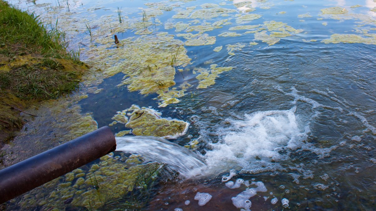 Загрязнение рек и озер сточными водами