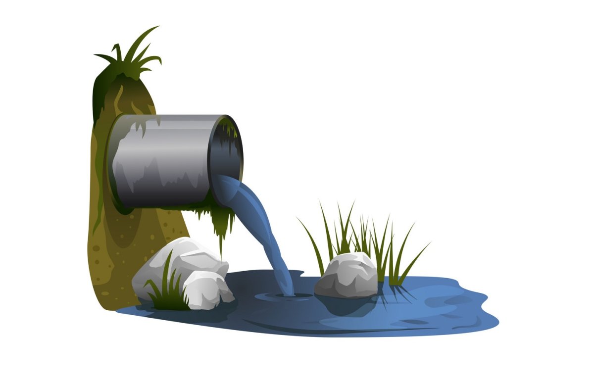 Загрязнение воды