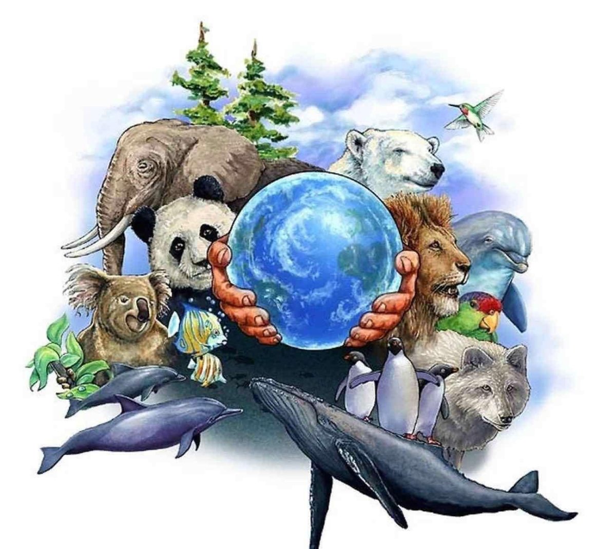 Плакат по защите животных