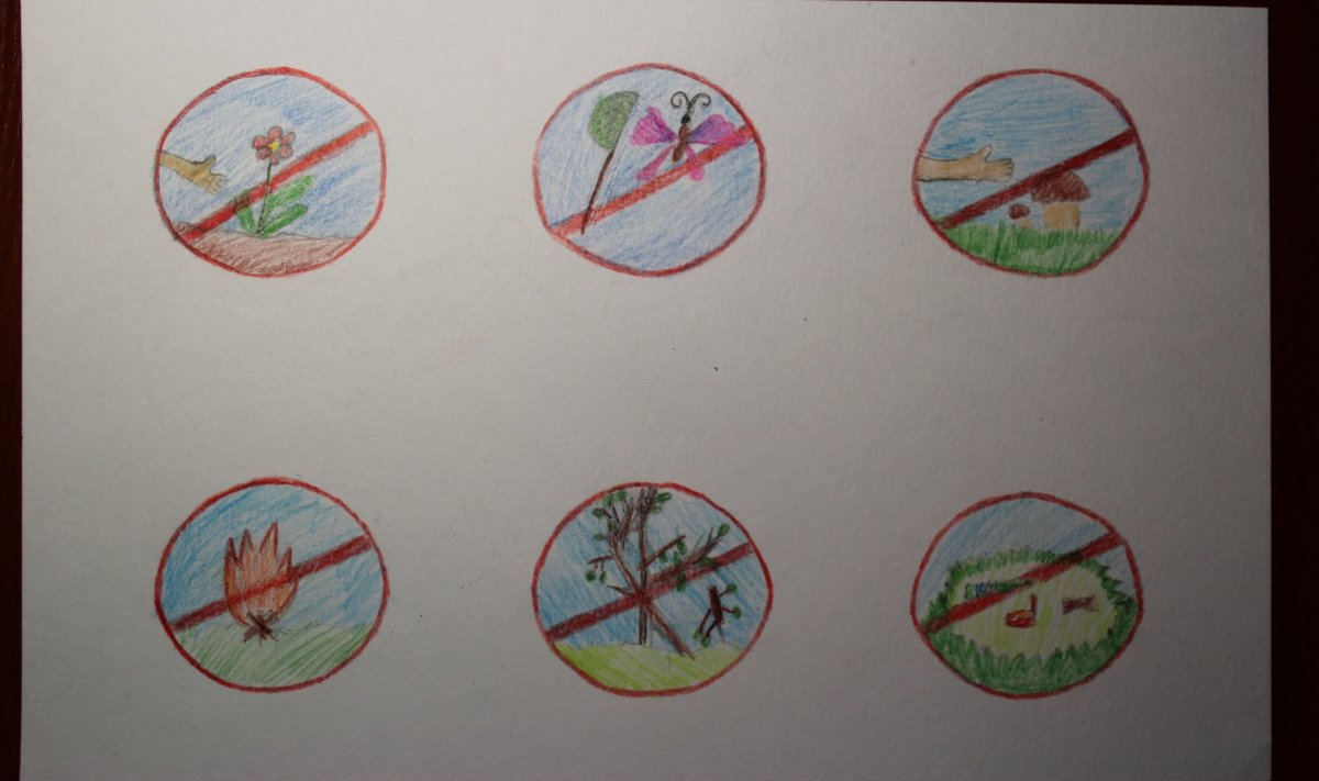 Планета с животными и растениями