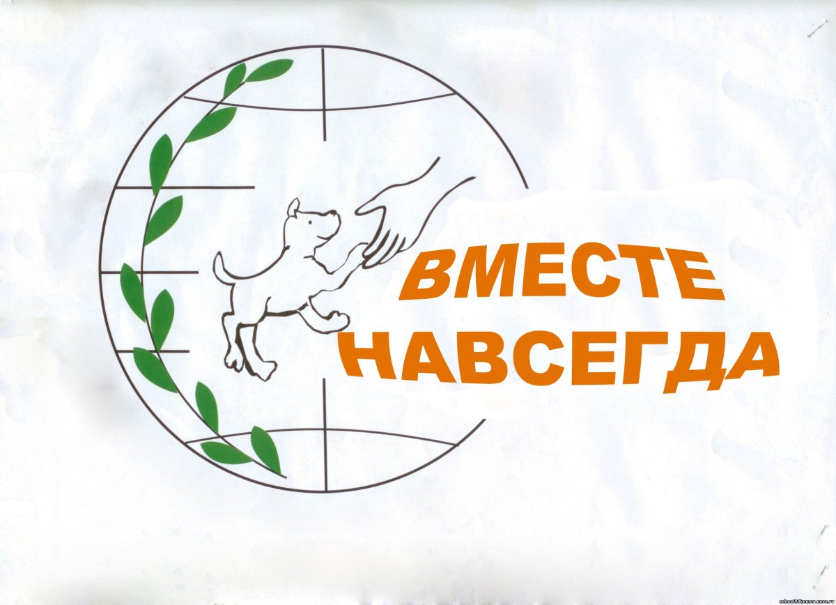 Защита животных