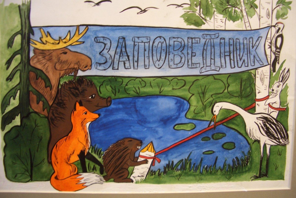 Берегите животных