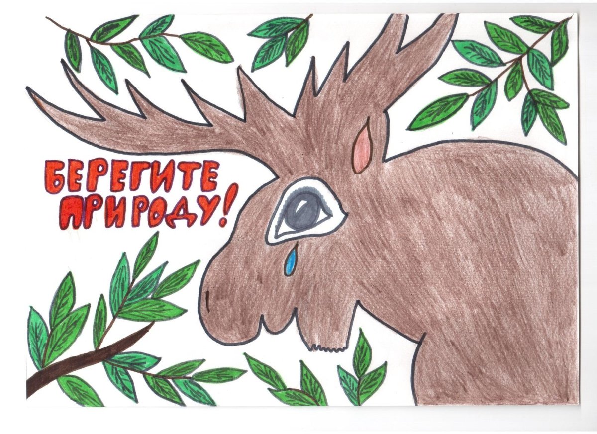 Алексей седой Лосиный заповедник