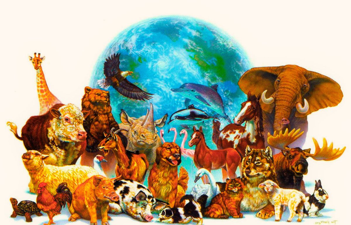 Логотип приюта для животных