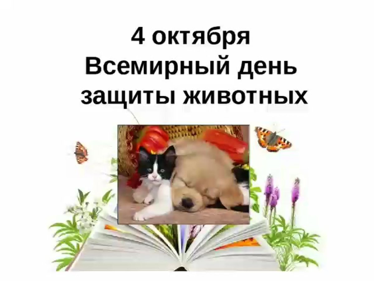 Плакат защита природы