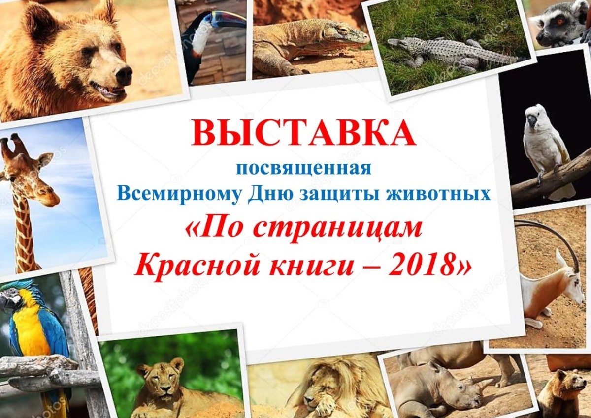 Животные земли