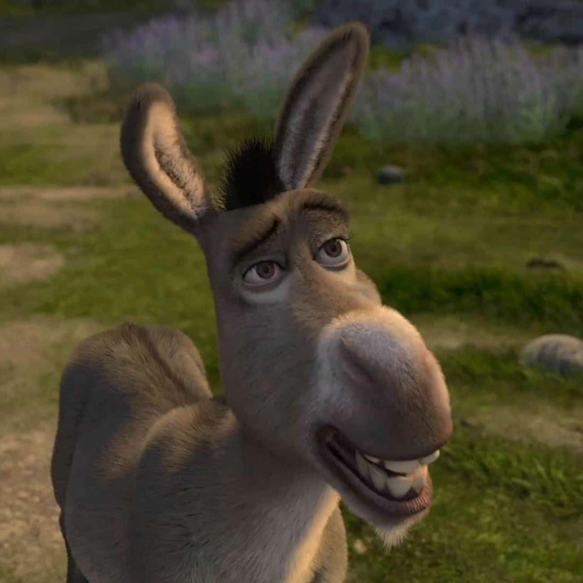 Шрек против Салливан