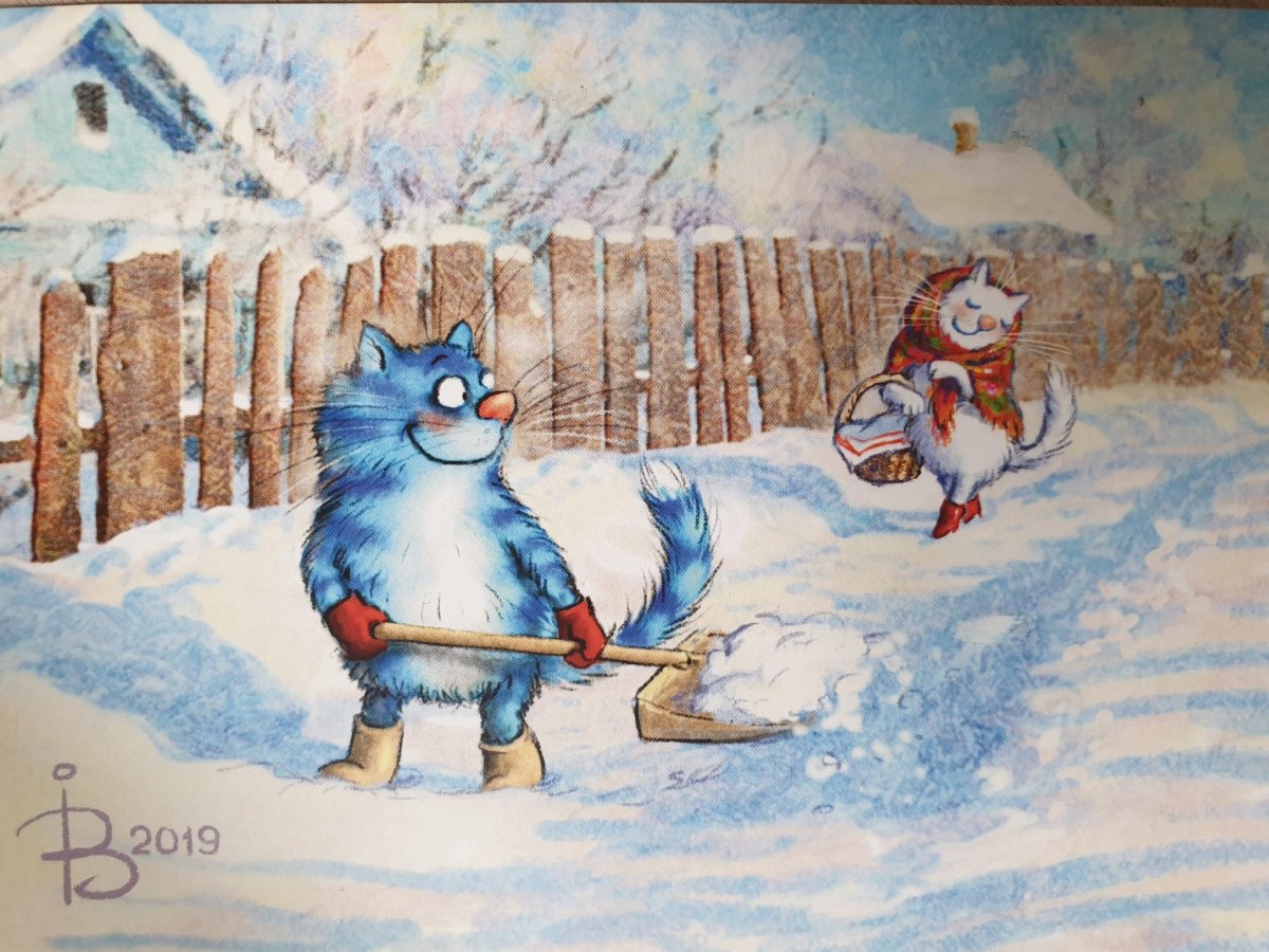 Коты Ирины Зенюк 2020