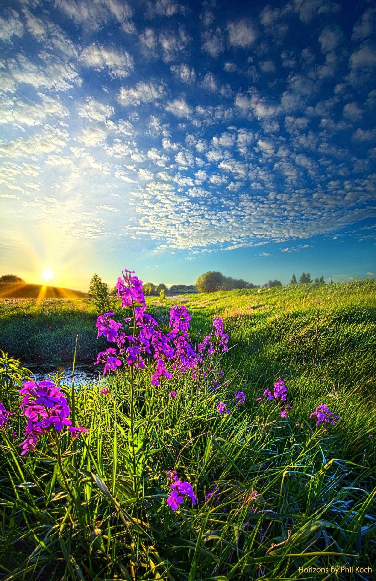 Яркий пейзаж