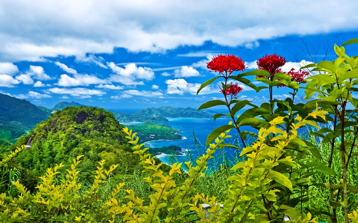 Летний пейзаж