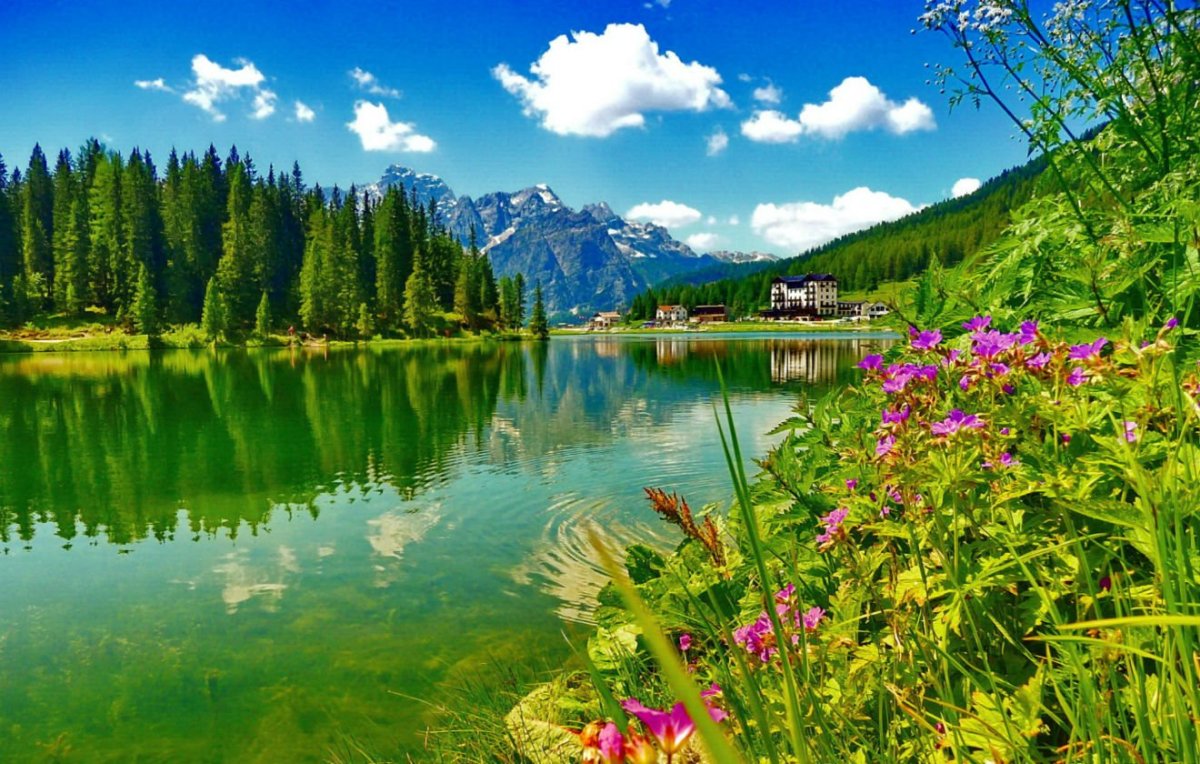 Лето природа