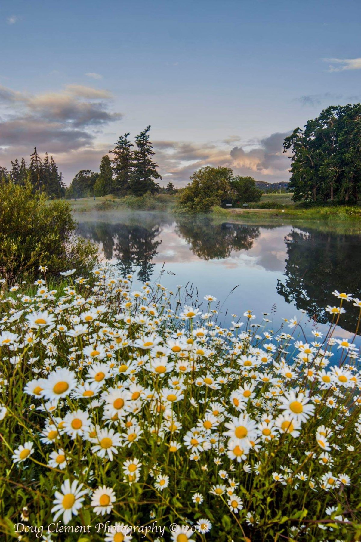 Летний пейзаж