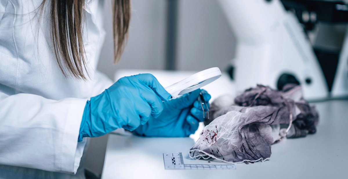 КЭМВИ экспертиза