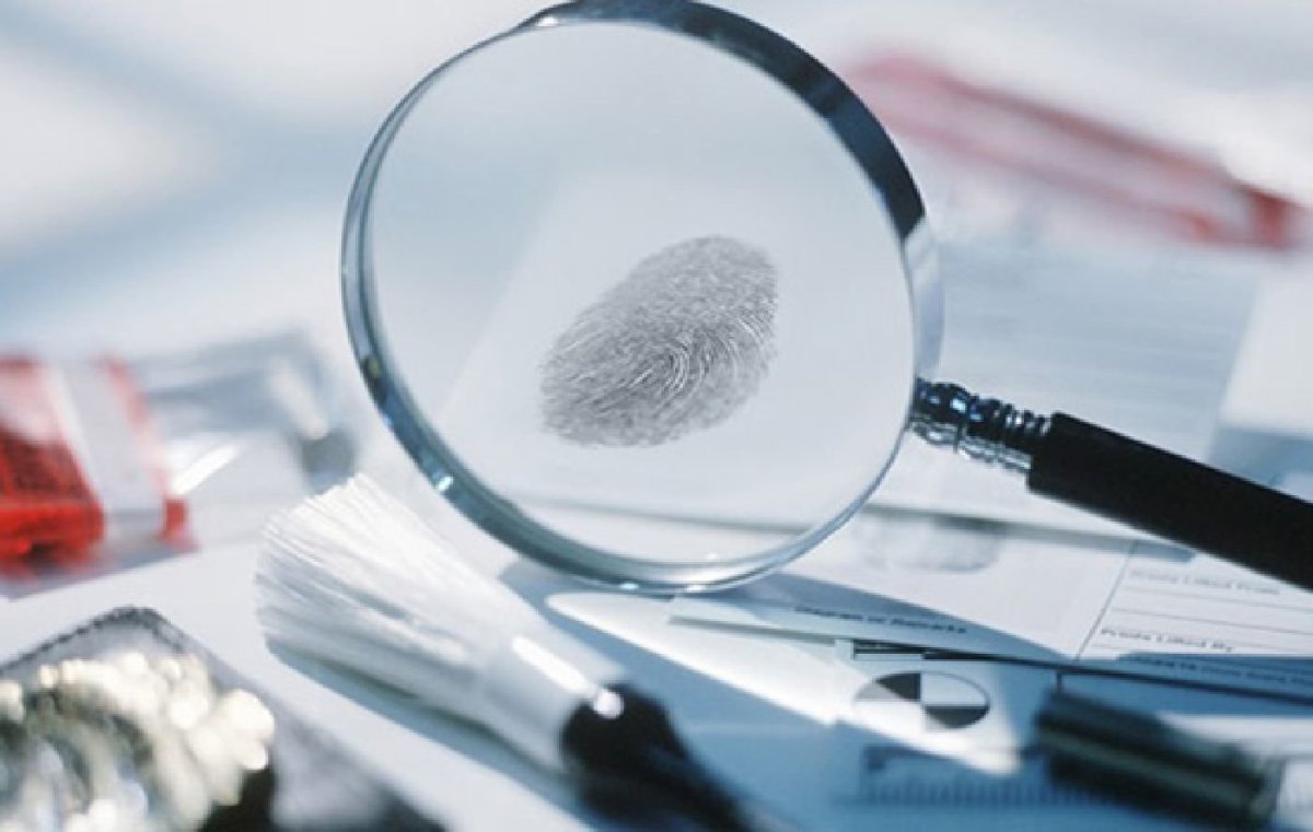 Судебная экспертиза