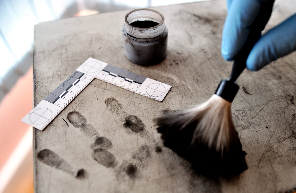 Трасология экспертиза