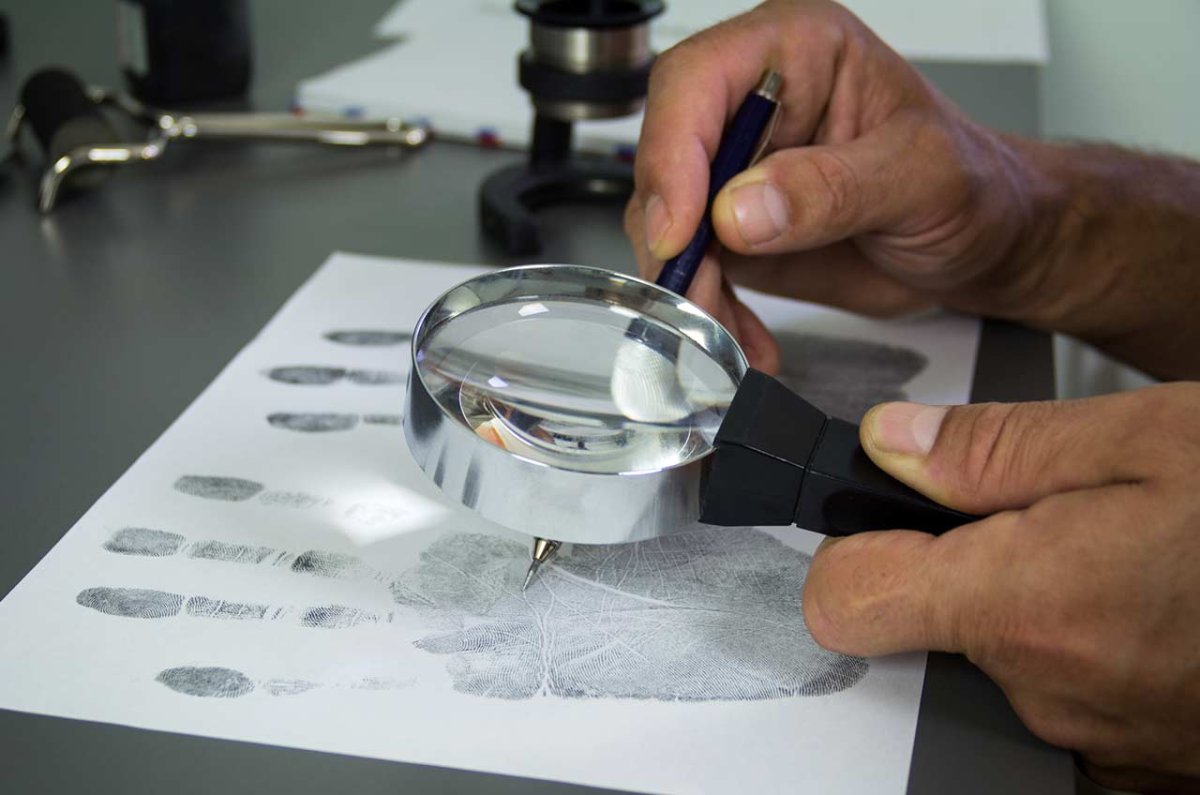 Судебная экспертиза