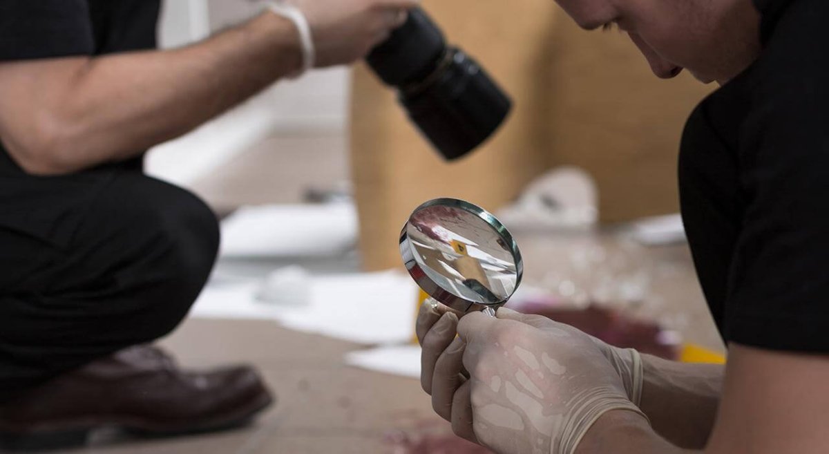 Исследование криминалистика