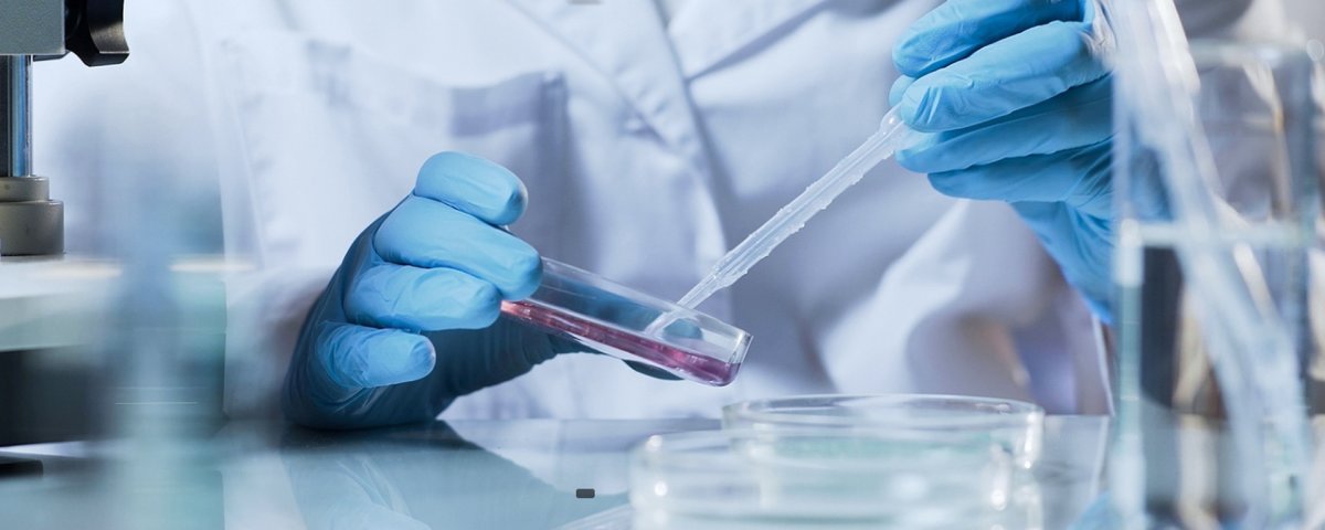 Судебно-химическая экспертиза